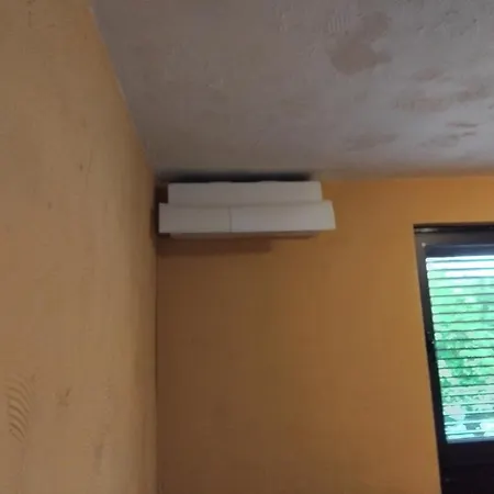 Tombili 2 * بولا